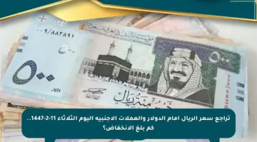 تراجع سعر الريال أمام الدولار والعملات الأجنبية اليوم الثلاثاء 11-2-1447.. كم بلغ الانخفاض؟